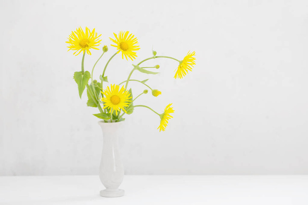 yellow chamomile on white background - Φωτογραφία, εικόνα