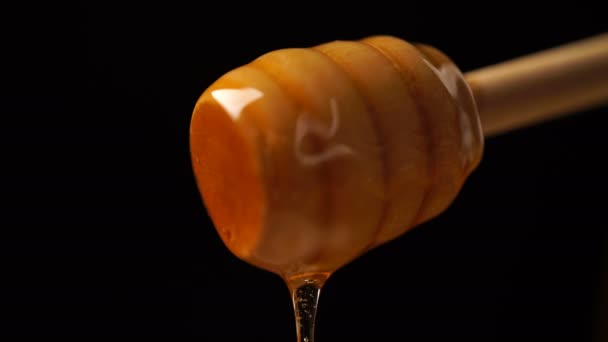 Footage organic honey dripping from wooden honey spoon background - Footage, Video