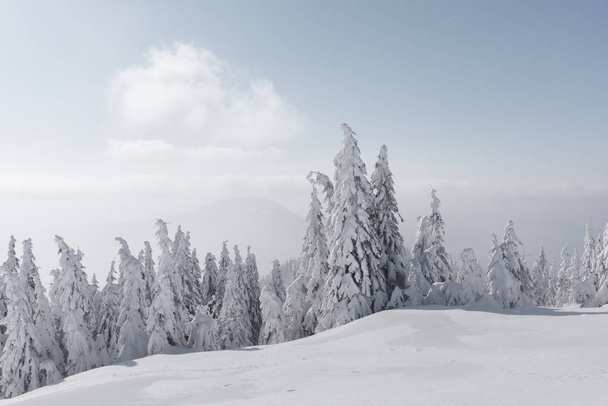 Fantastic winter landscape - Foto, Imagem