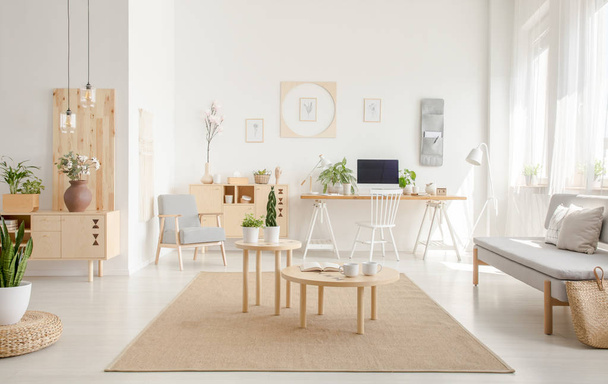 Plant on pouf near wooden tables on brown carpet in spacious white flat interior with sofa. Real photo - Foto, Bild