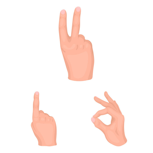Handgesten Cartoon-Ikonen in Set-Kollektion für Design. Handfläche und Finger Vektor Symbol Stock Web Illustration. - Vektor, Bild