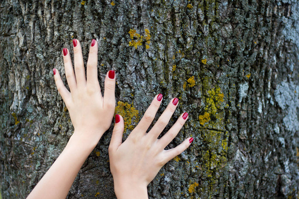 Las manos de una chica con una manicura de moda en el tronco de un árbol. Publicidad, demostración de manicura. Belleza y naturaleza
 - Foto, Imagen