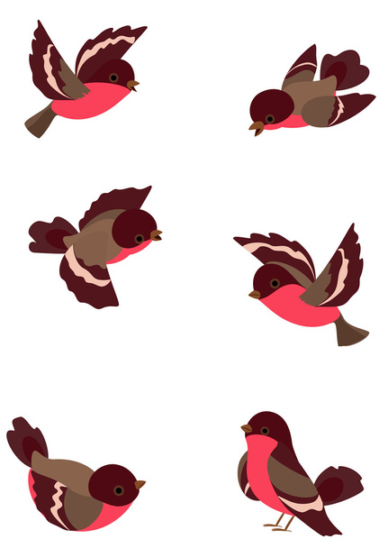 set pájaros divertidos
 - Vector, Imagen