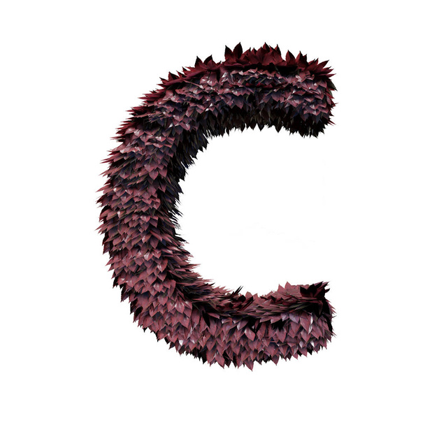 Foliage Letter C, 3D Rendering - Photo, Image