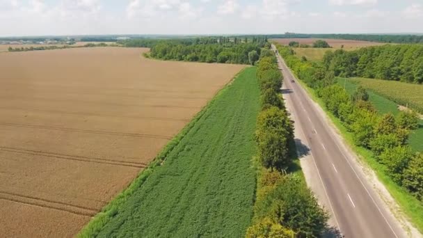 flight over the field of yellow wheat and road. Aerial view - Кадры, видео