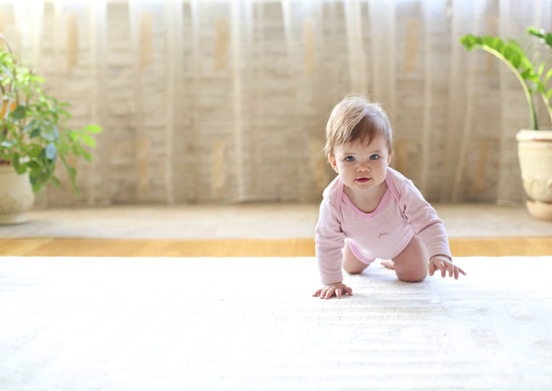 Portrait of the eight month caucasian baby at home - Photo, Image