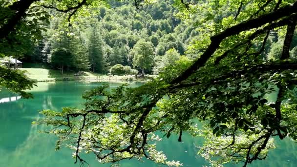 panorama de l'étang de Bethmale, Pyrénées françaises
 - Séquence, vidéo