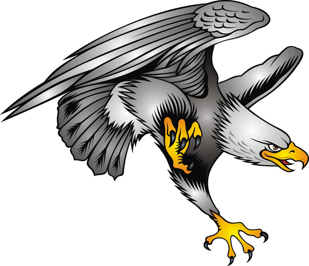 águila - Vector, Imagen
