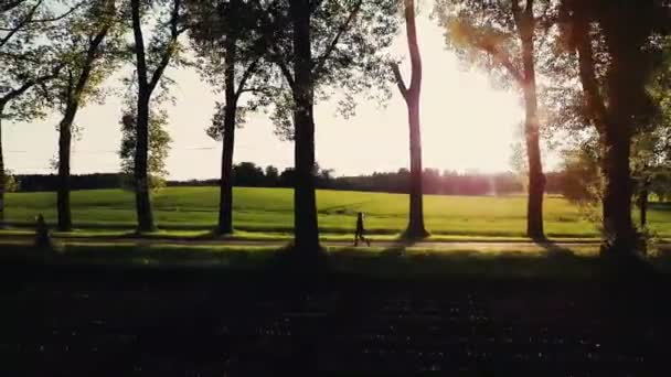 σοκάκι δέντρα strolling γυναίκα - Πλάνα, βίντεο
