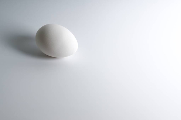 біле яйце на білому фоні
 - Фото, зображення
