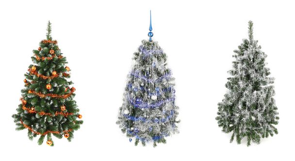 Üç Noel ağaçları - Fotoğraf, Görsel