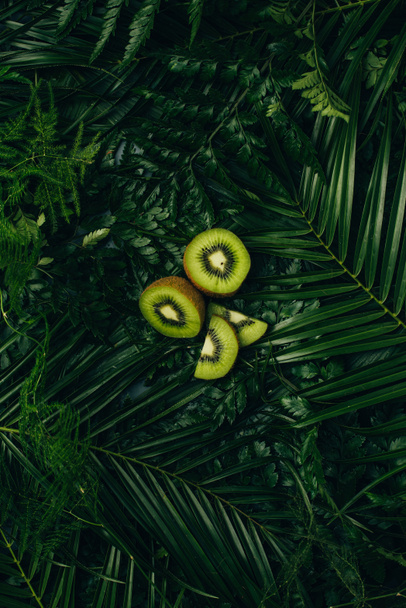 top view of fresh kiwi slices on green palm leaves - Fotó, kép