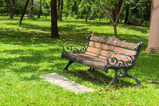 公園の芝生の上の椅子. - 写真・画像
