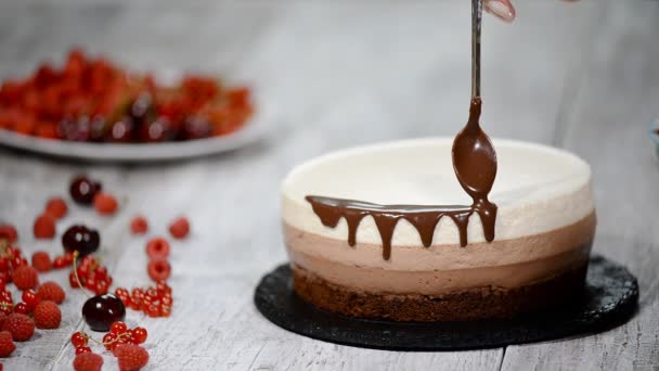 Decorated triple chocolate mousse cake. - Footage, Video