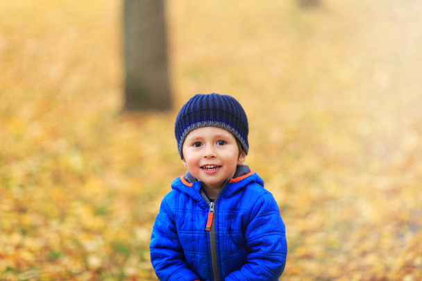 幸せな少年の帽子と黄色の秋の風景の背景に、青の色のコートで暖かい服を着た。秋のシーズンに向けて最高の概念図。金葉パターンでかなり子供の肖像画.  - 写真・画像