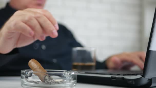 Businessman In Office Room Work on Laptop Smoke a Cigar - Filmmaterial, Video