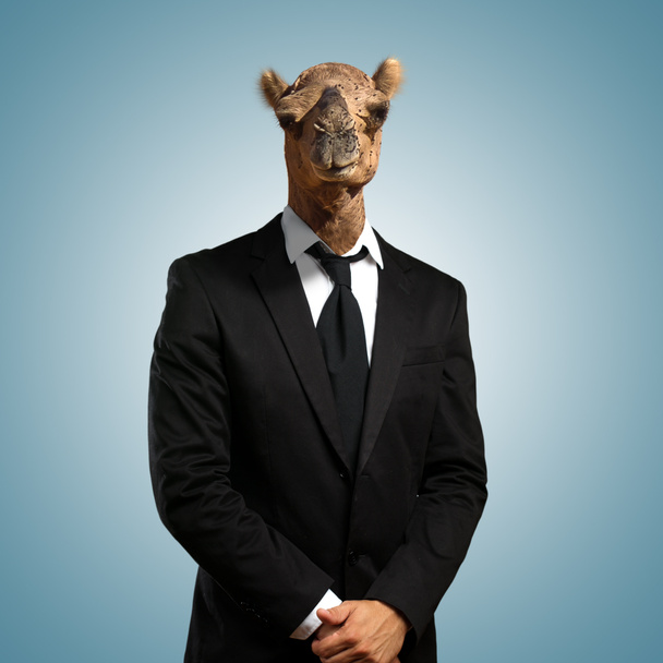 ラクダの頭部を持つビジネスマンの肖像画 - 写真・画像