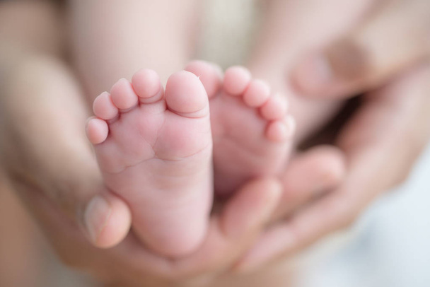 Nohy o novorozené dítě v rukou rodičů. Šťastná rodina koncept. - Fotografie, Obrázek