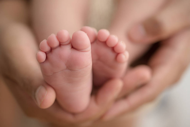 Feet of a newborn baby in the hands of parents. Happy Family concept. - Fotó, kép