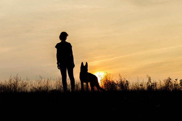 Menina e cachorro ao pôr do sol na grama
. - Foto, Imagem
