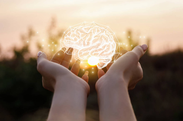 Female hand shows the brain in the sun. - Photo, Image