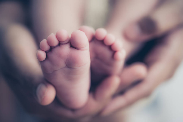 Ноги новорожденного ребенка в руках родителей. Концепция счастливой семьи
. - Фото, изображение