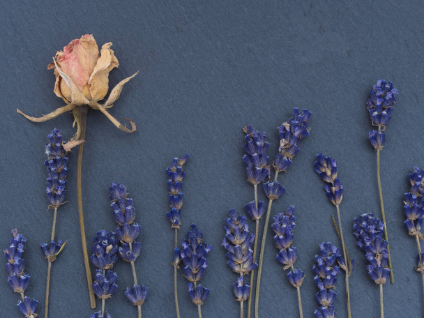 сухі квіти фон, прикраса
 - Фото, зображення