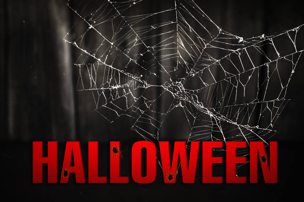 Dark abstract background on a Halloween holiday. The inscription "Halloween" on a dark background with a cobweb and neon light - Foto, Bild