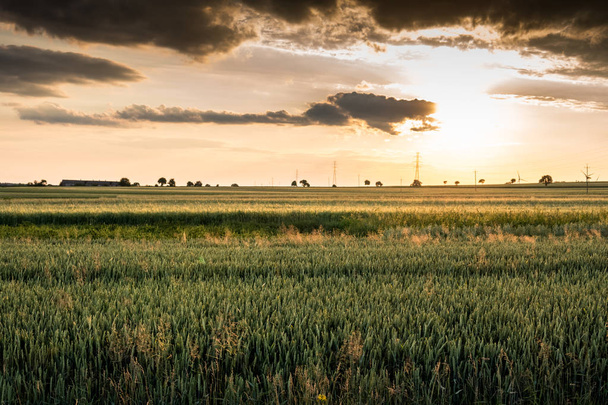 landscape with fields and sun shining at low height over horizon - Foto, Bild