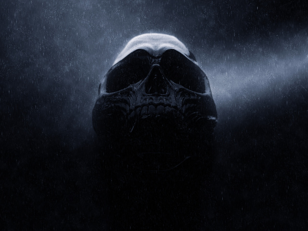 Тёмный чёрный череп во время дождя
 - Фото, изображение
