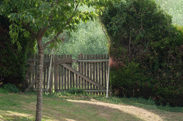 closeup of wooden fence in a meadow  - Фото, изображение