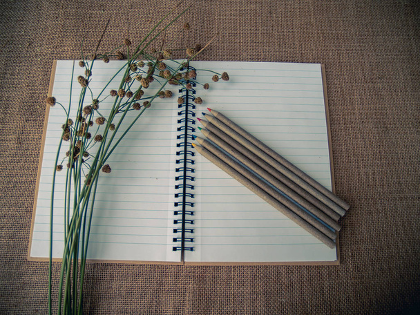 Stile vintage. Scrivania organizzata con taccuino aperto, erba secca, matite e sfondo di iuta
 - Foto, immagini