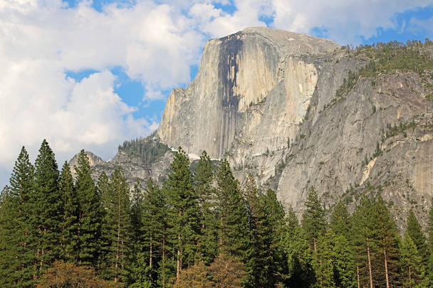 Half Dome - Yosemite Nationalpark, Kalifornien - Foto, Bild