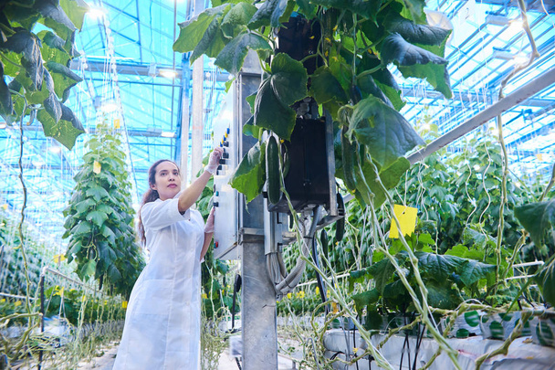 現代産業ファーム、コピー領域の温室で野菜の品質をチェック若い女性科学者の肖像 - 写真・画像