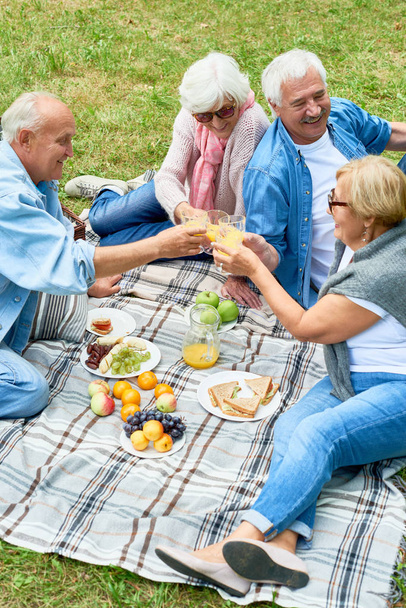 高角度幸せな退職後の時間を一緒に過ごす公園の緑の芝生の上でピクニックを楽しむ陽気な年長の友人のグループの肖像画 - 写真・画像