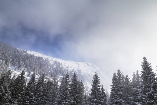 Dramatyczne zimowej scenerii w górach z świeży śnieg, mgła i piękne światło - Zdjęcie, obraz