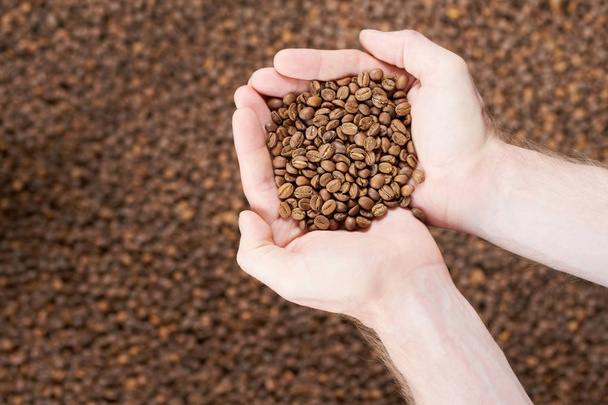 Above view of hands holding handful of freshly roasted coffee beans over roasting machine, background - Photo, Image