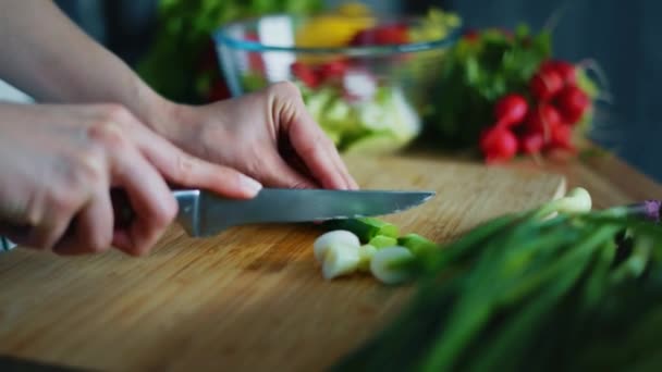 Manos de mujer cortando cebolla verde para ensalada. Cerrar verduras frescas
 - Imágenes, Vídeo