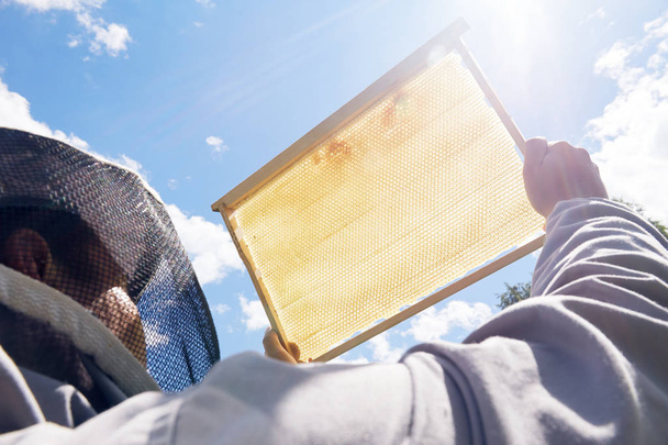Bajo ángulo de primer plano del apicultor irreconocible que sostiene el marco de la colmena lleno de miel dorada contra el cielo azul claro, espacio de copia
 - Foto, imagen