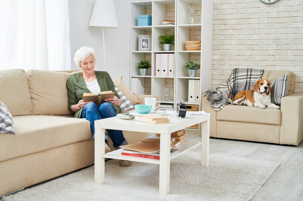 Full length portrait of elegant senior woman reading book sitting on couch and enjoying weekend with pet dog beside her in modern apartment interior - Photo, Image