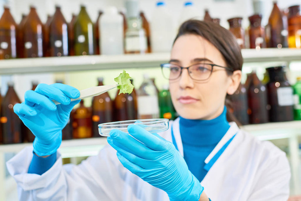 Jeune chercheur travailleur portant des lunettes et un manteau blanc qui contrôle la qualité des légumes tout en restant debout dans un laboratoire moderne
 - Photo, image
