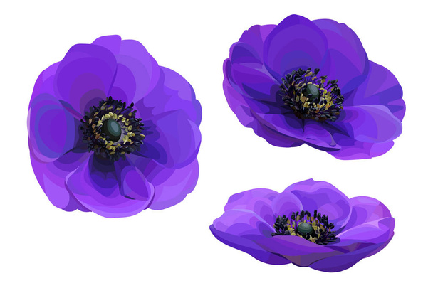 Aantal blauwe anemonen - Vector, afbeelding