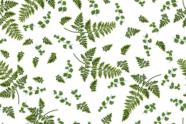 Summer seamless pattern with herbal motif - Vettoriali, immagini