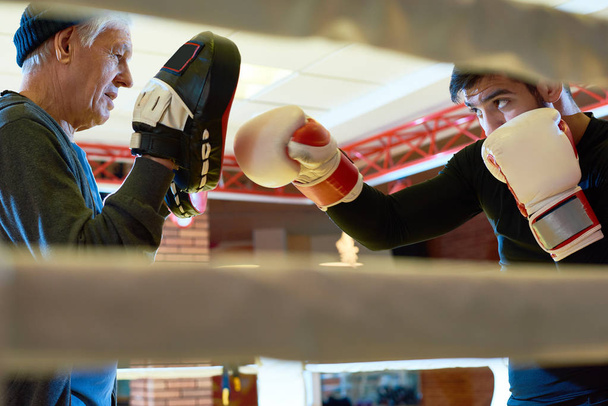 Vista lateral de homem sério boxe com treinador sênior segurando almofadas de treinamento especiais no ringue
.  - Foto, Imagem