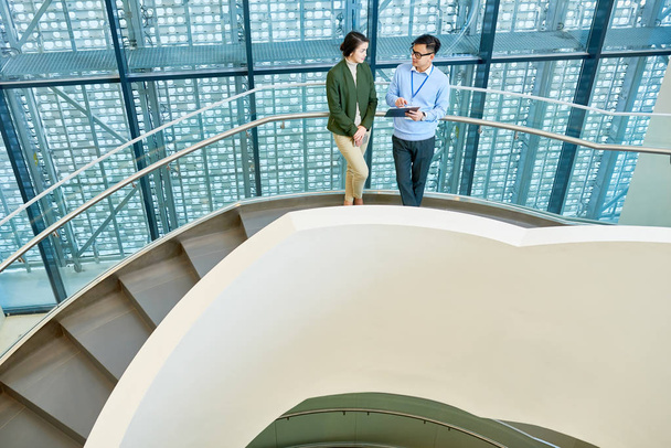 Atractivo joven gerente y su colega masculino de pie en la escalera de hormigón en espiral de edificio de oficinas moderno y el análisis de los resultados de trabajo, vista de alto ángulo
 - Foto, Imagen