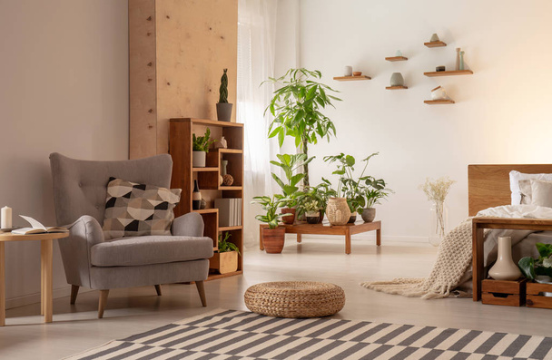 Grey armchair and pouf on carpet in modern open space interior with bed and plants. Real photo - Fotografie, Obrázek