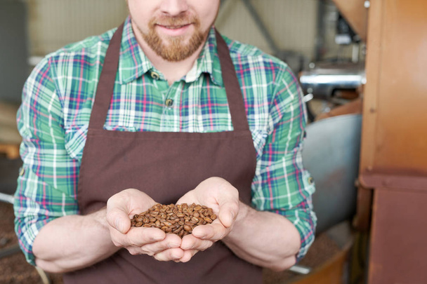 Retrato de seção intermediária de torrador usando avental segurando punhado de grãos em pé pela máquina de torrefação de café
 - Foto, Imagem
