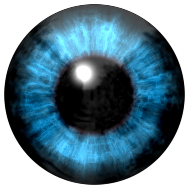 Blue human eye on a white background. Logo design, cartoon style  - Photo, Image
