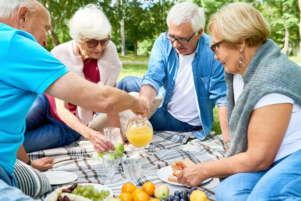 Retrato de grupo de amigos seniores alegres curtindo piquenique no gramado verde no parque bebendo suco na aposentadoria feliz
 - Foto, Imagem