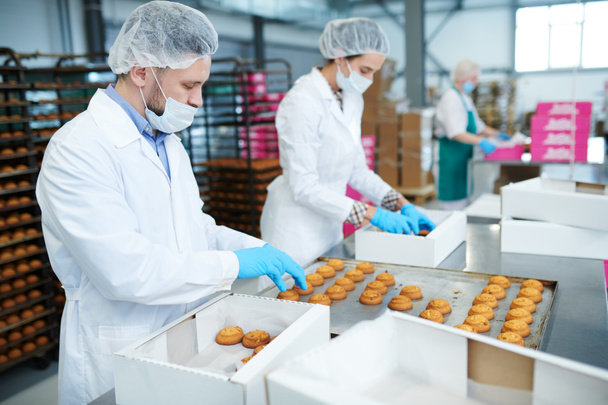 Édesség gyár alkalmazottai fehér szőrű gyűjtése frissen sült süteményeket is tálca és elhelyezés ez-ba papír dobozok. - Fotó, kép